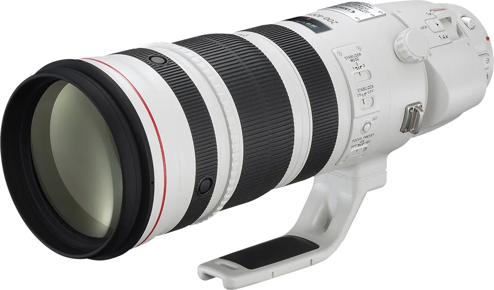 Canon EF 200-400mm / f4 (2ⁿᵈ Year)
