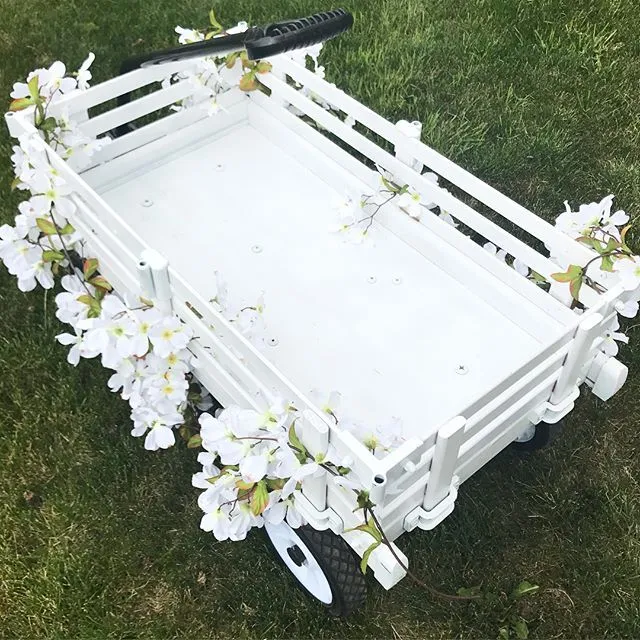 Little White Wagon
