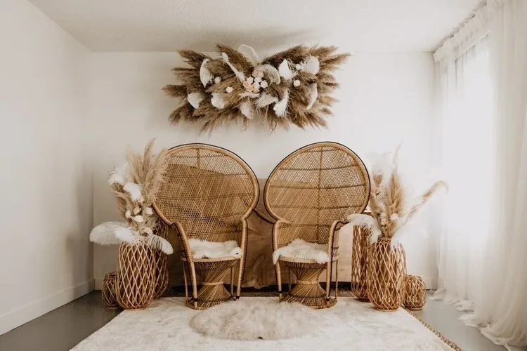 Peacock Chairs