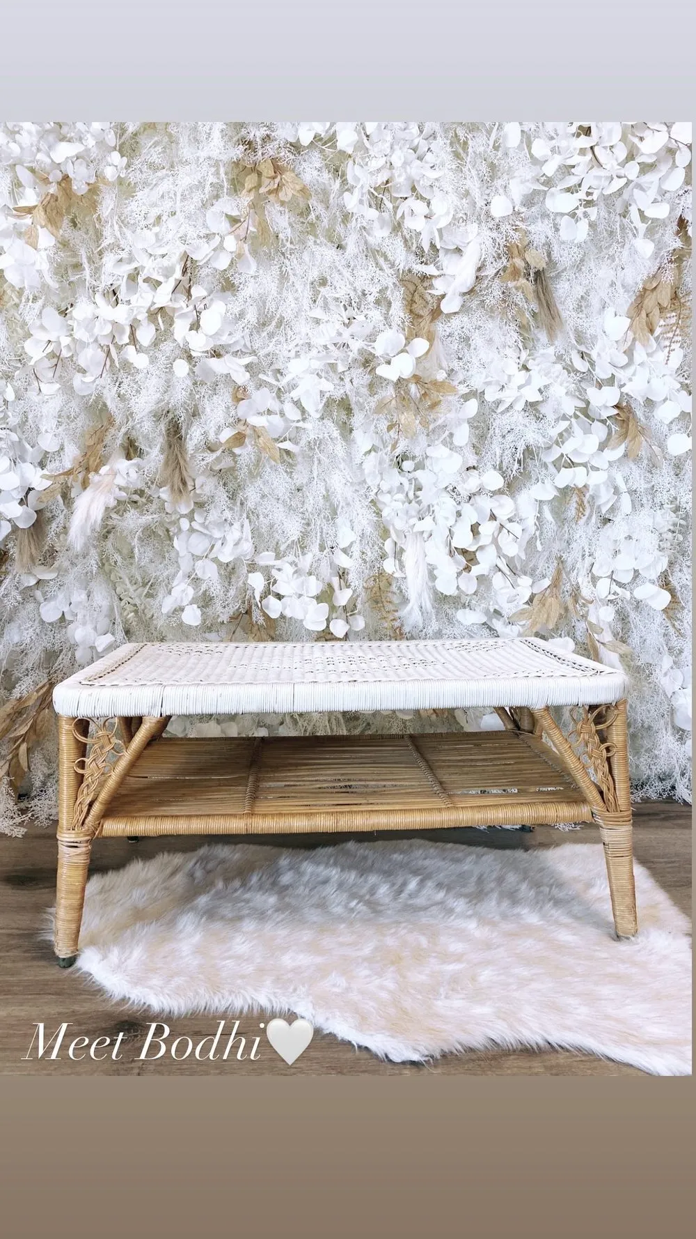 Bodhi Table