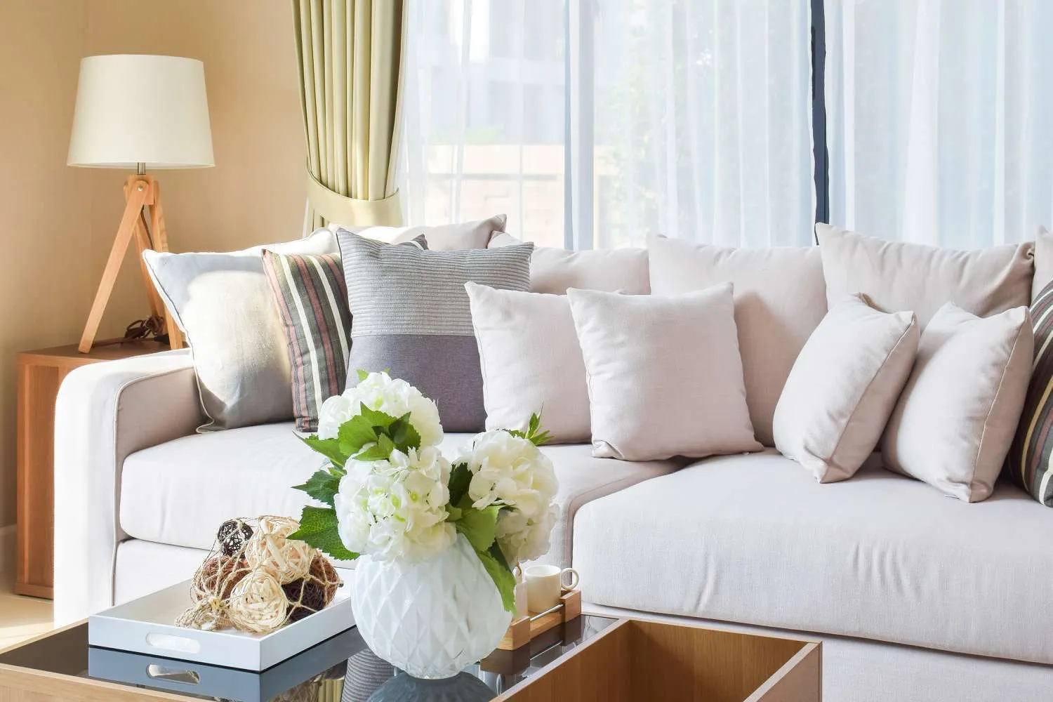 Throw Cushion