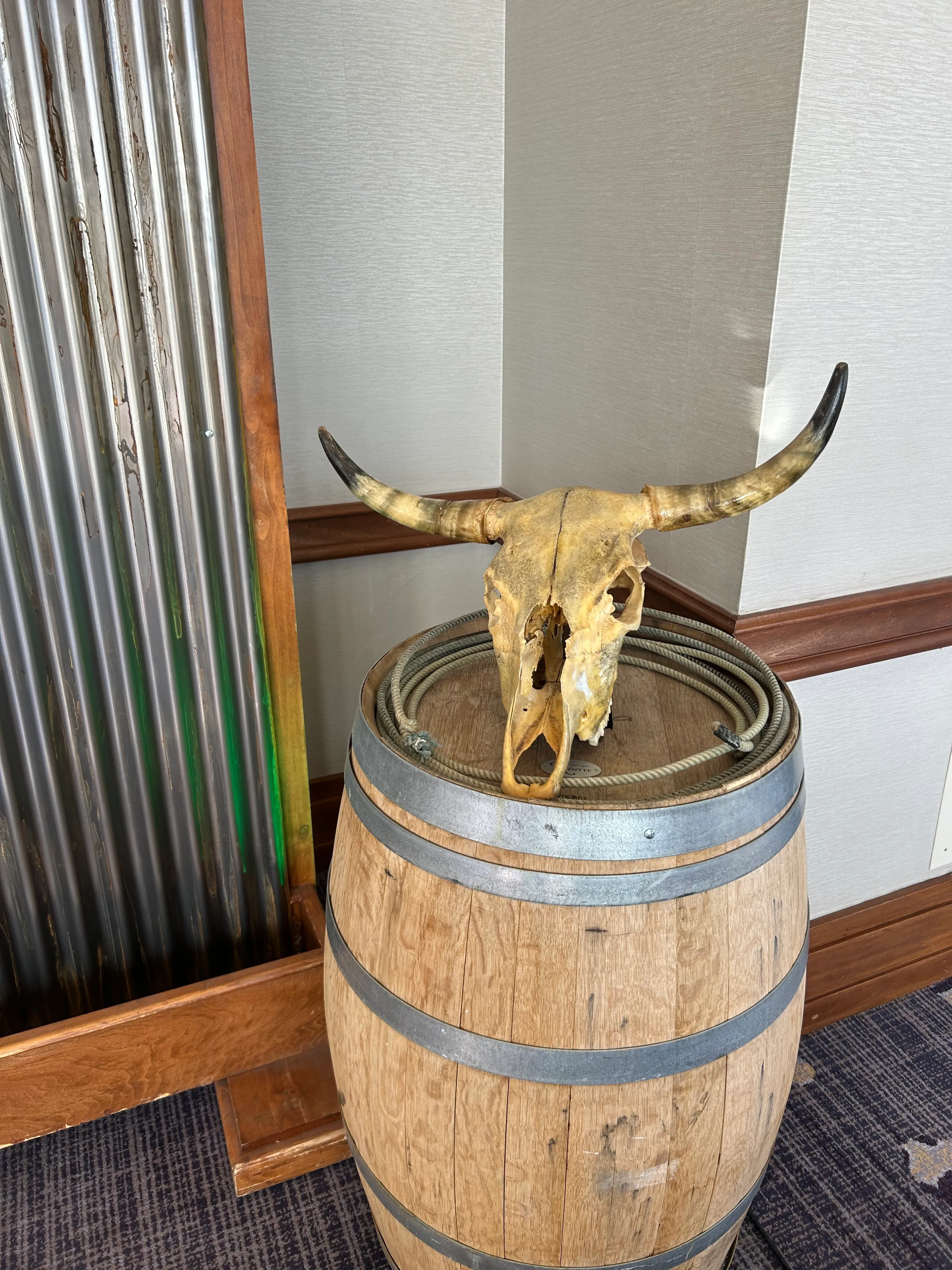 Cow Skull