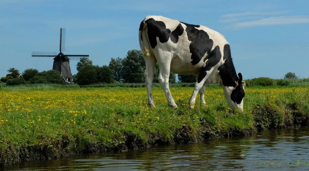 Natuurtocht + Luxe picknick