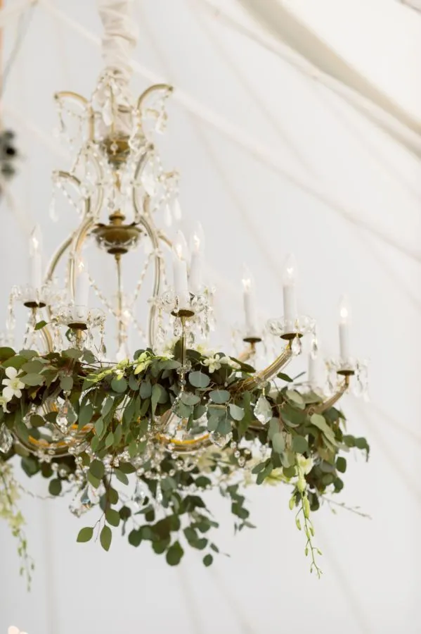 Faux Eucalyptus Strands (6 ft)