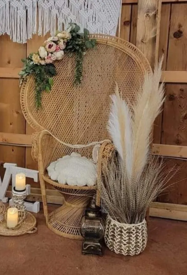 Large Peacock Chair