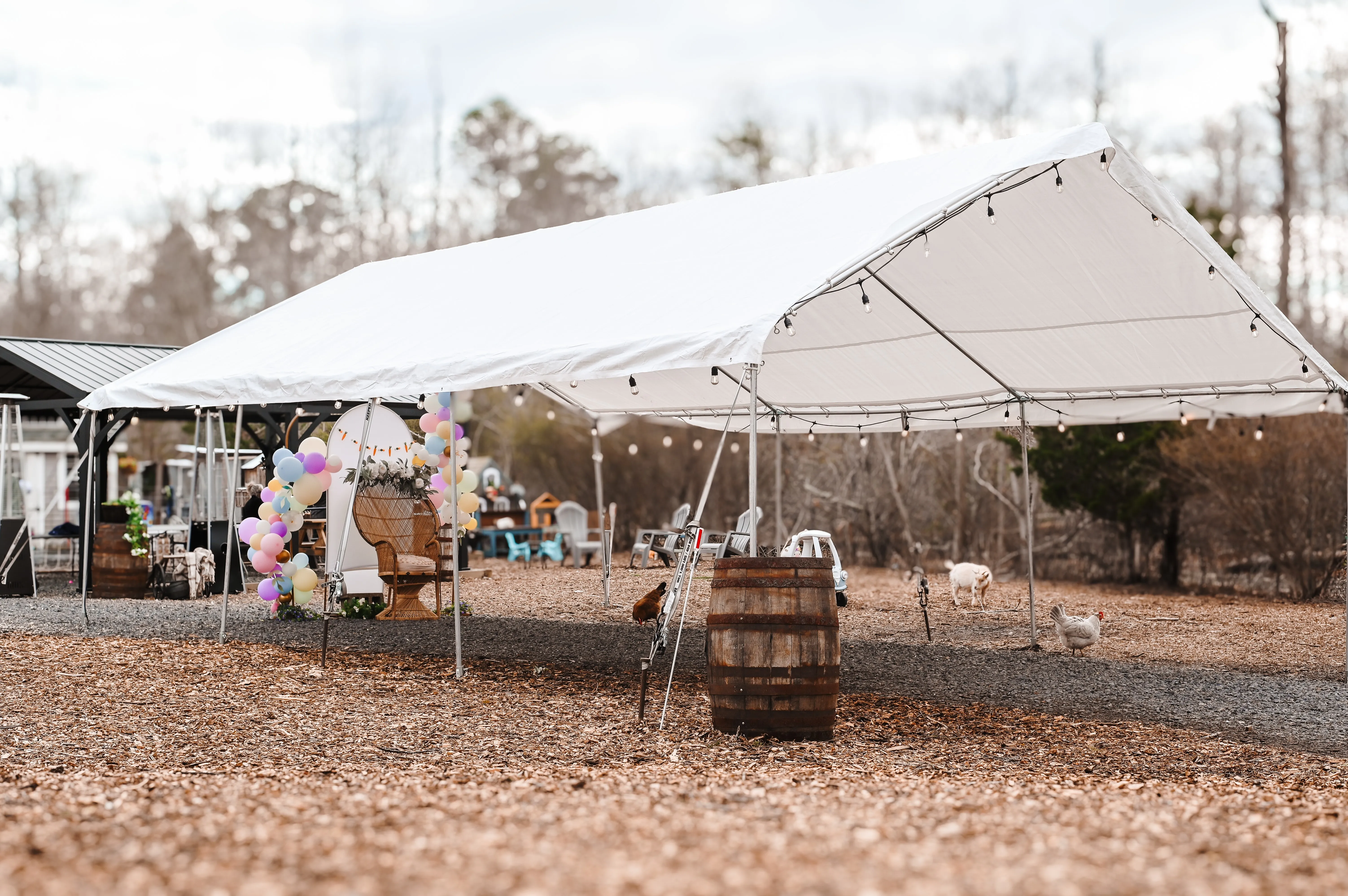 20x30 Tent
