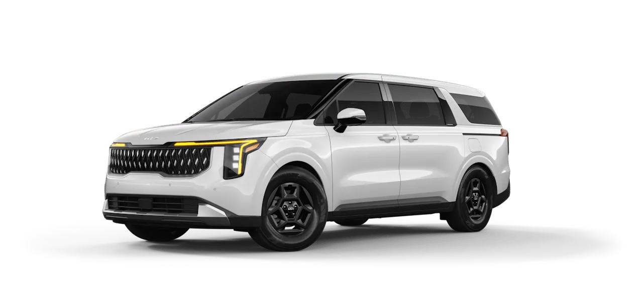 Kia Carnival or Similar