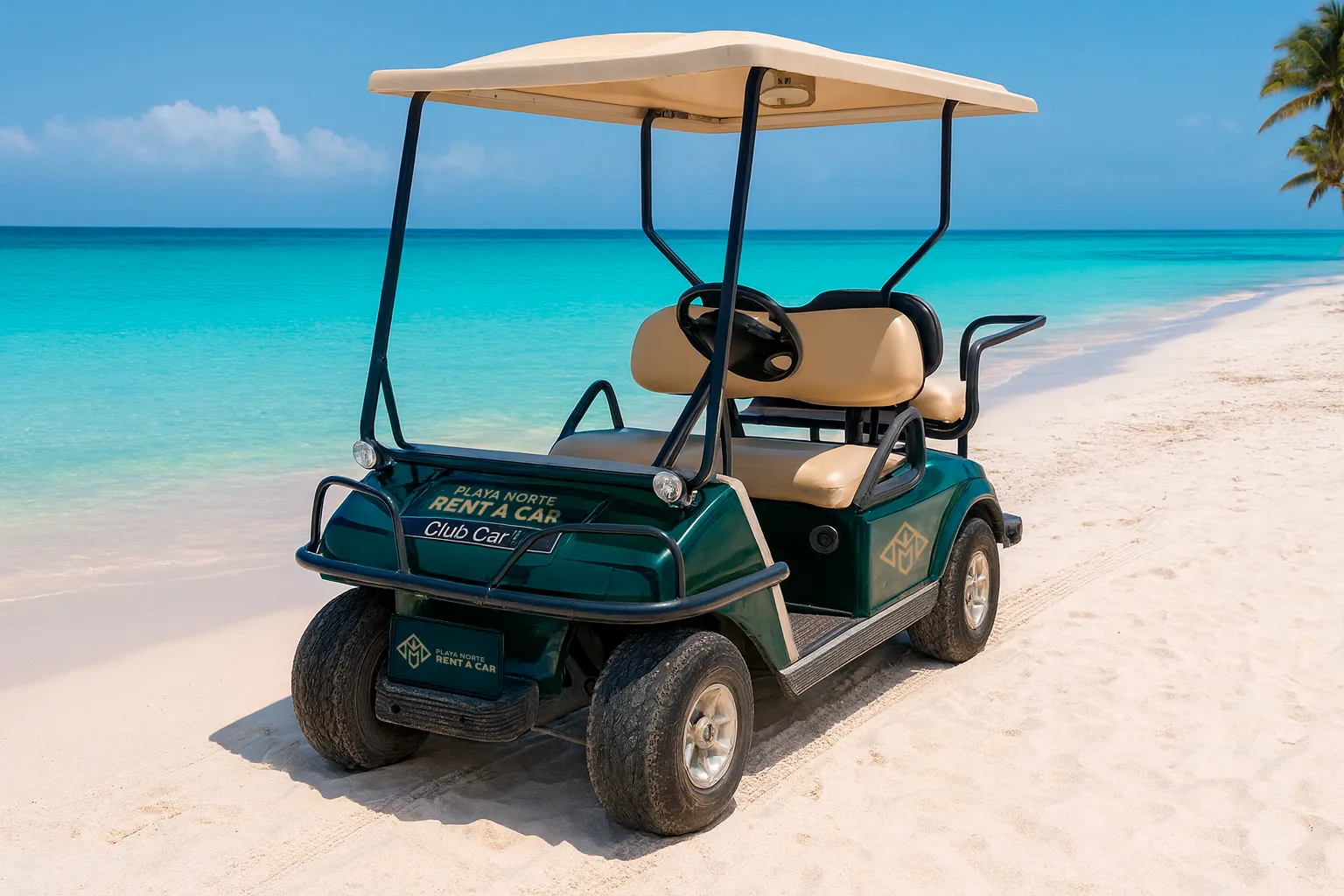 Gasoline Golf Cart 4 Seats per Day