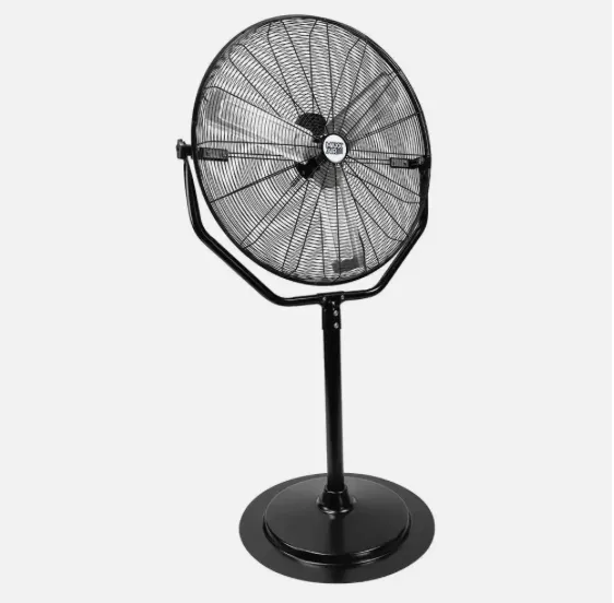 Fans