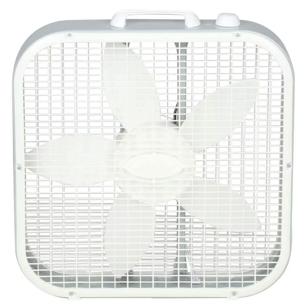 Box Fans
