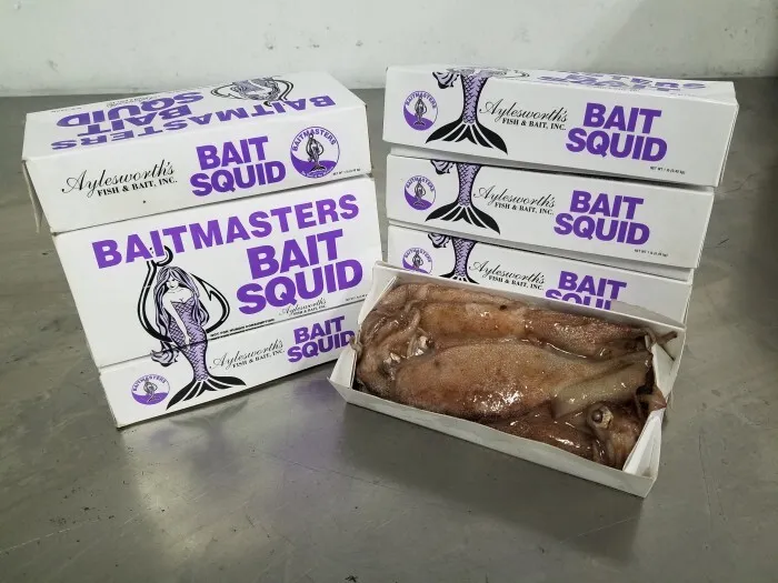 Bait - Squid