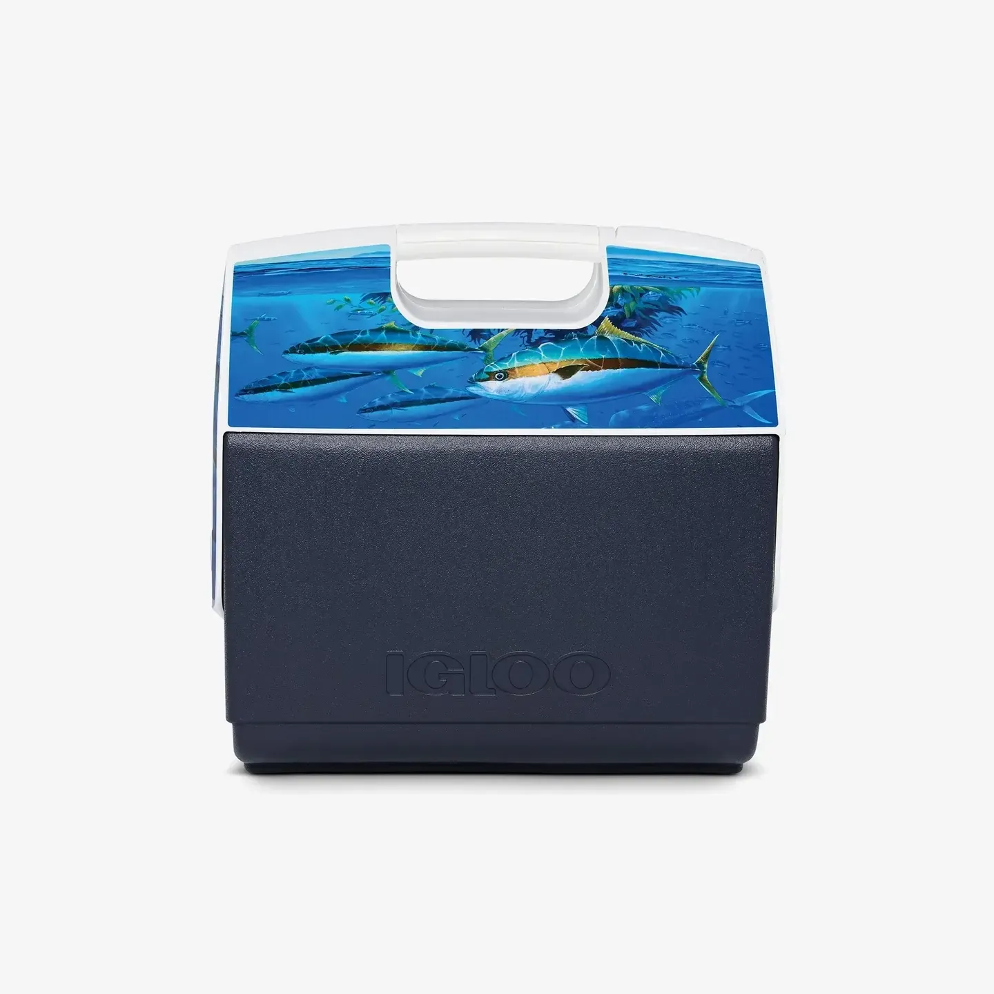 Igloo Cooler