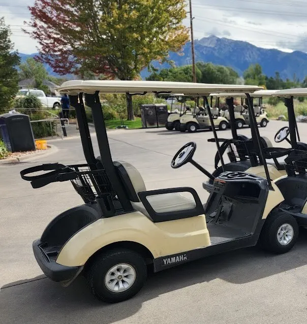 2 Person Golf Cart