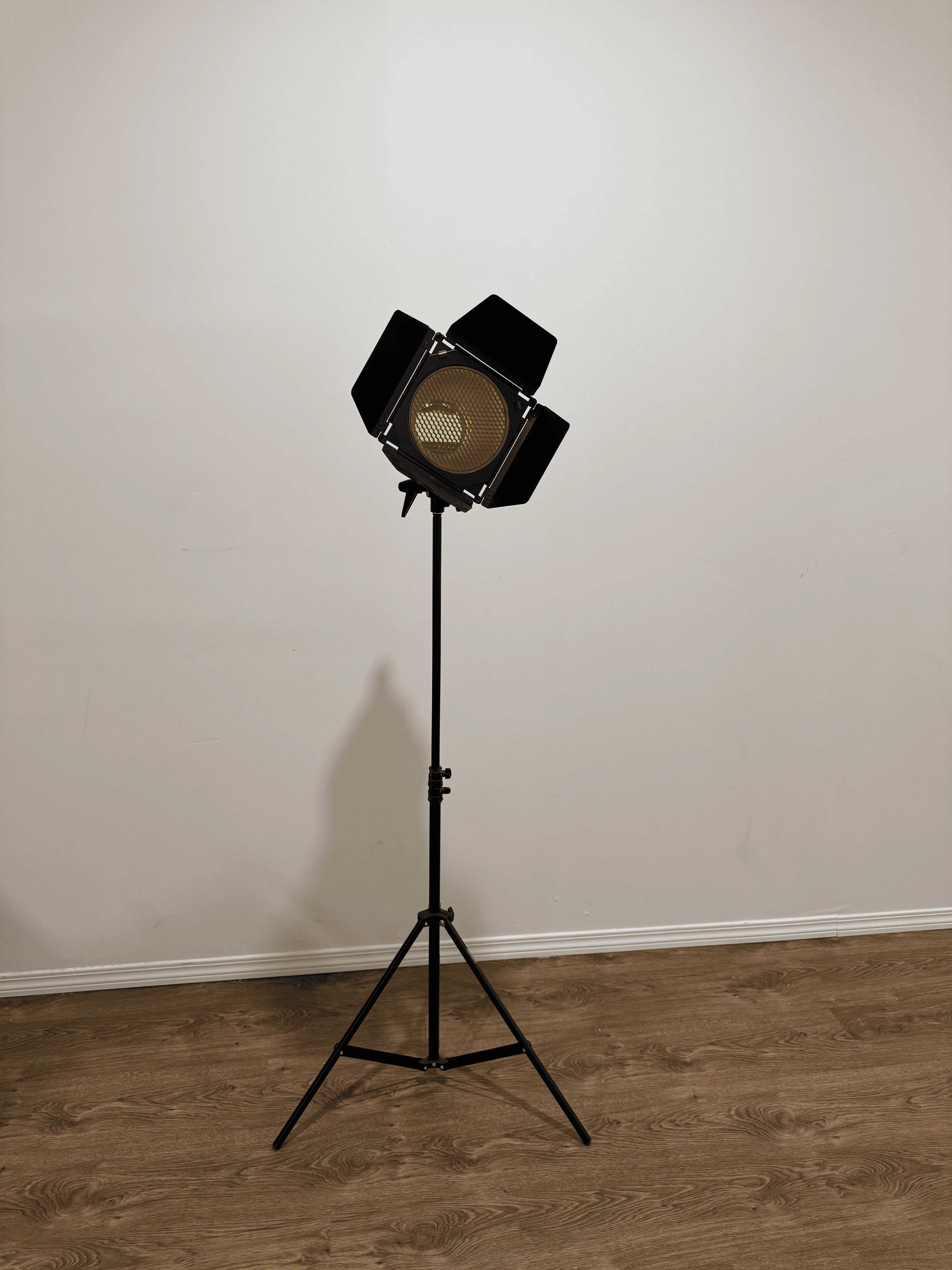 Godox Flash and Trigger (studio rental only)