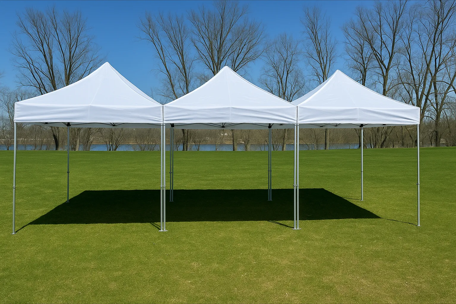 20x30 easy up tent