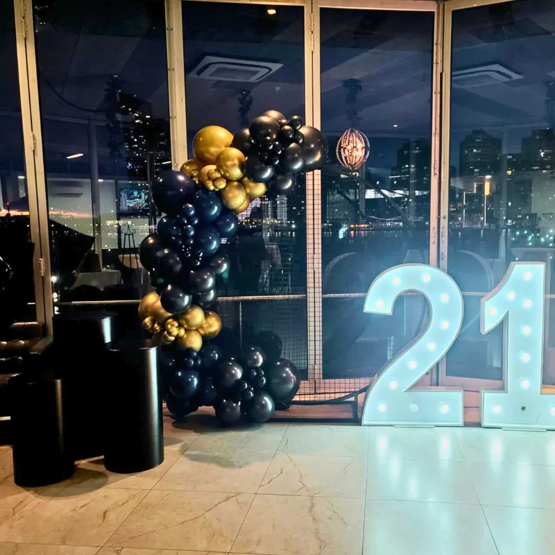 Party Backdrop - Balloon Garland, stand, plinths