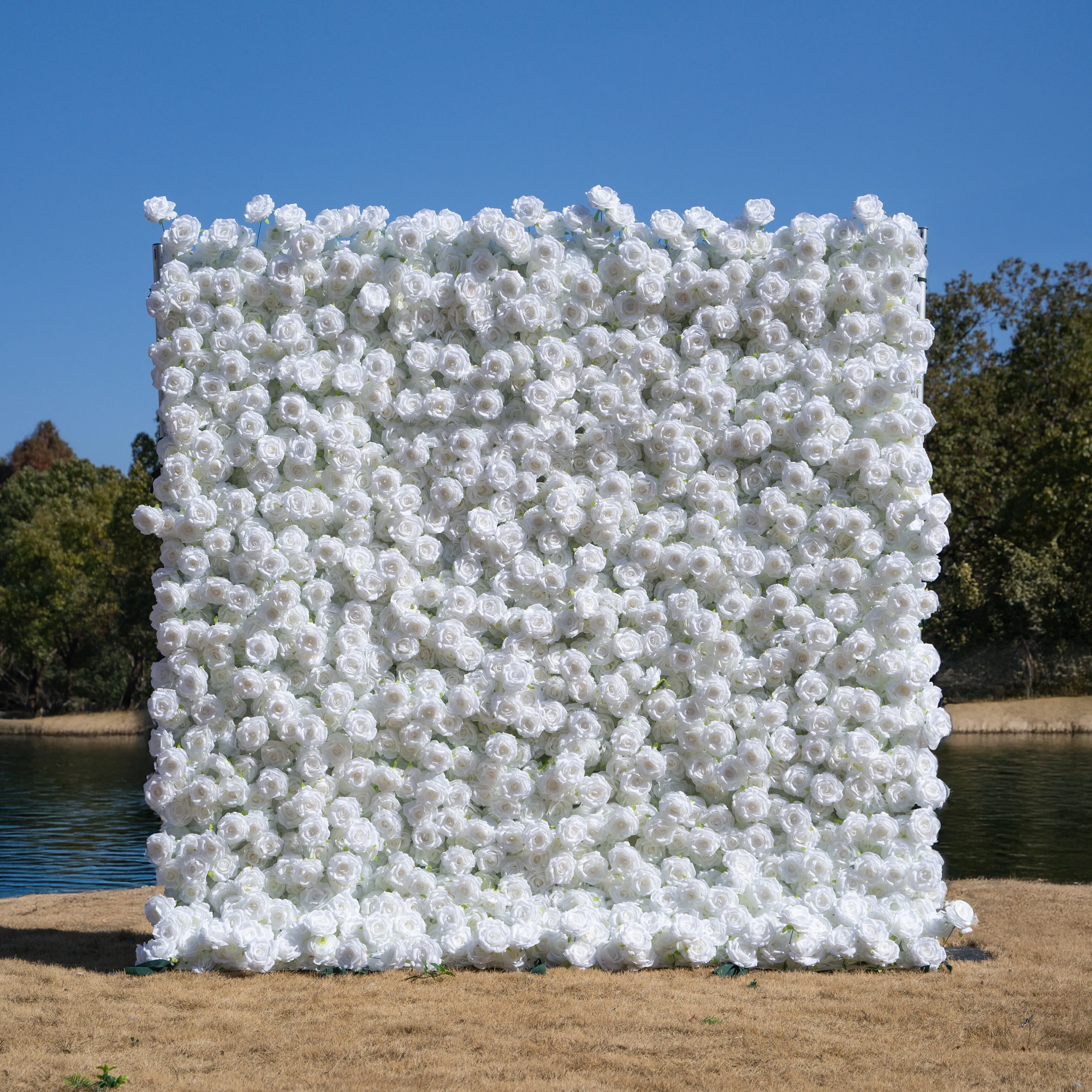 White Rose Flower Wall