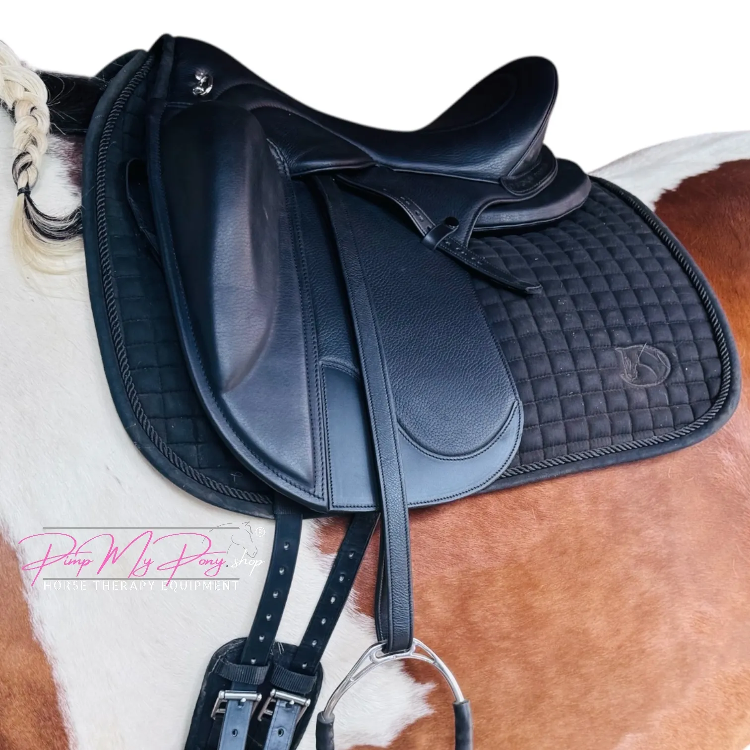Dressur Paddle + Polster (M/L)