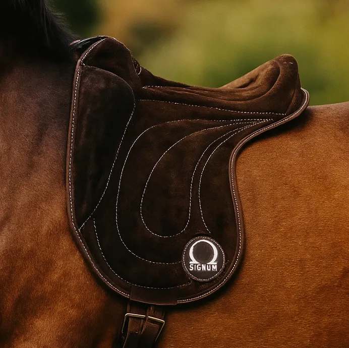 Signum Pad Dressage (M/L)