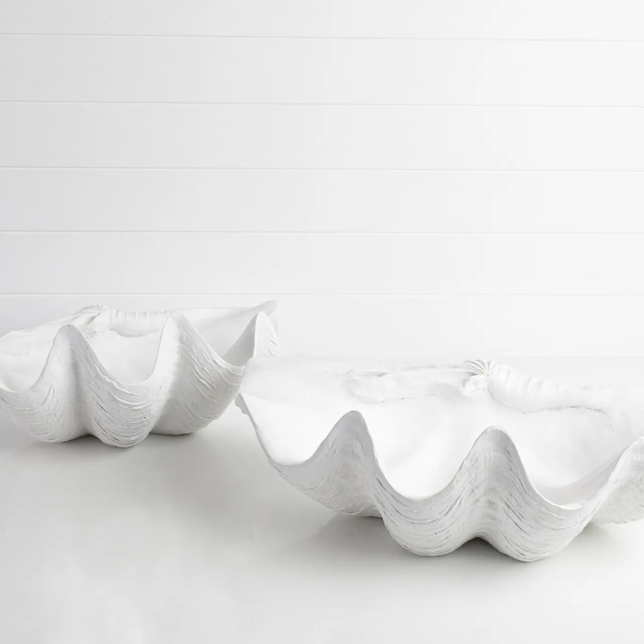 Giant Clam