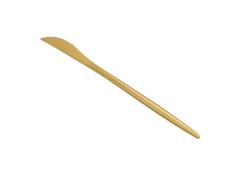Gold Stainless Steel Dinner Knife