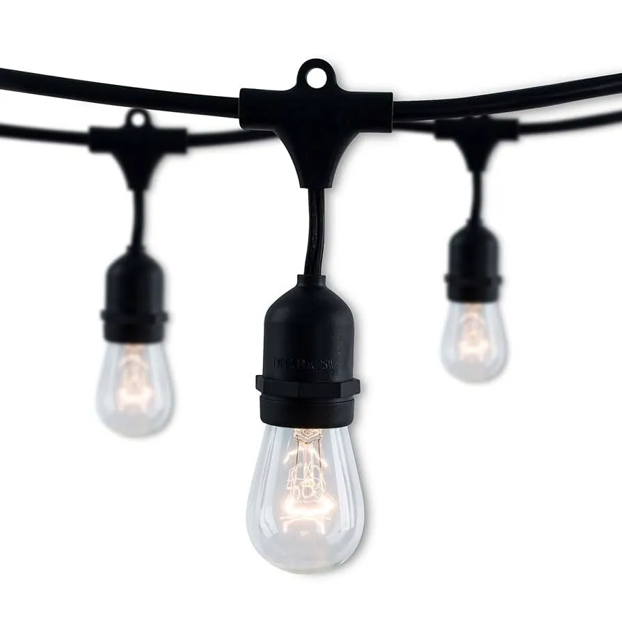 Cafe Lights (18 bulbs, stretches 36 feet) 