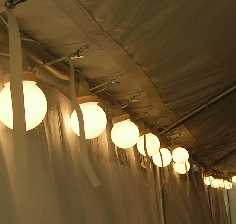Set of 8-Globe Lights (stretches 35 feet) 