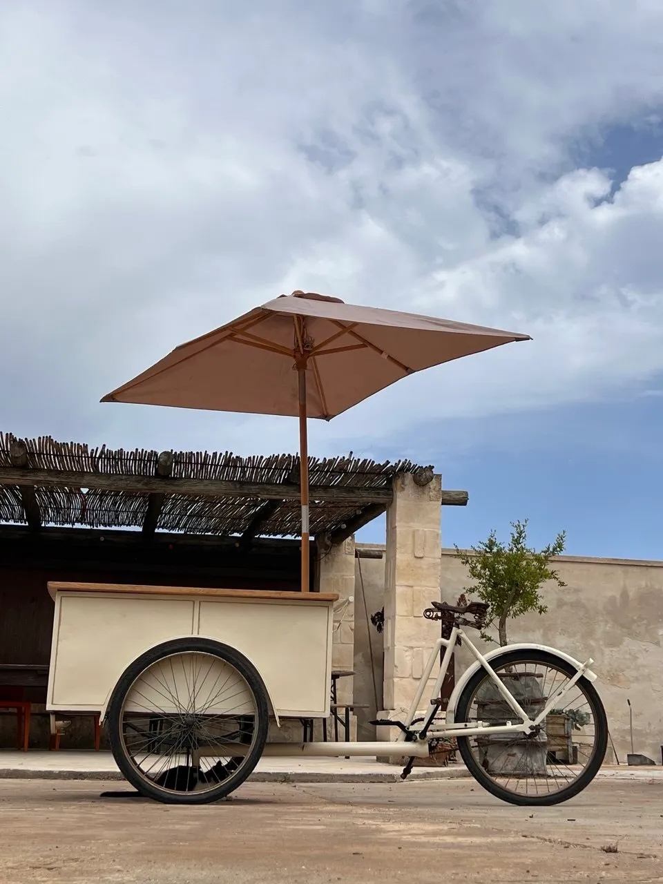 Cargo bike - bici carretto per  eventi 