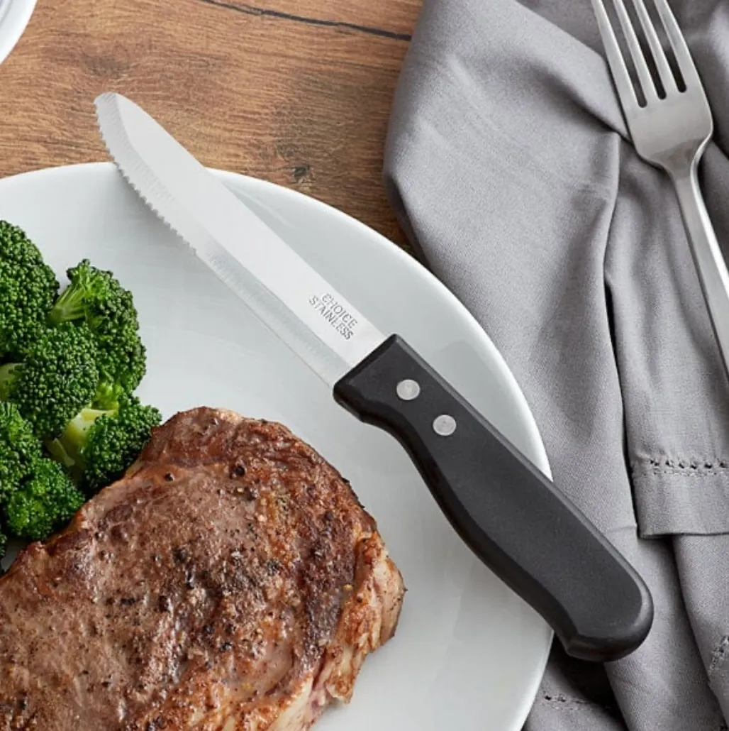 Stainless Steel Steak Knife