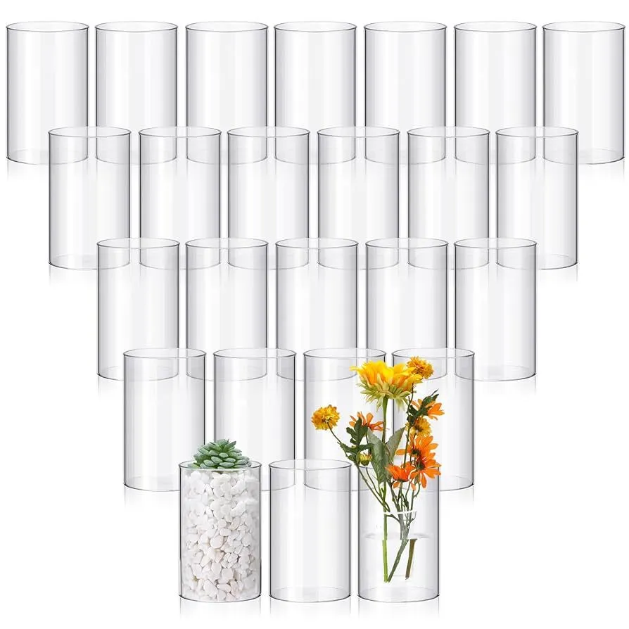 Plastic Hurricane Vases (6")