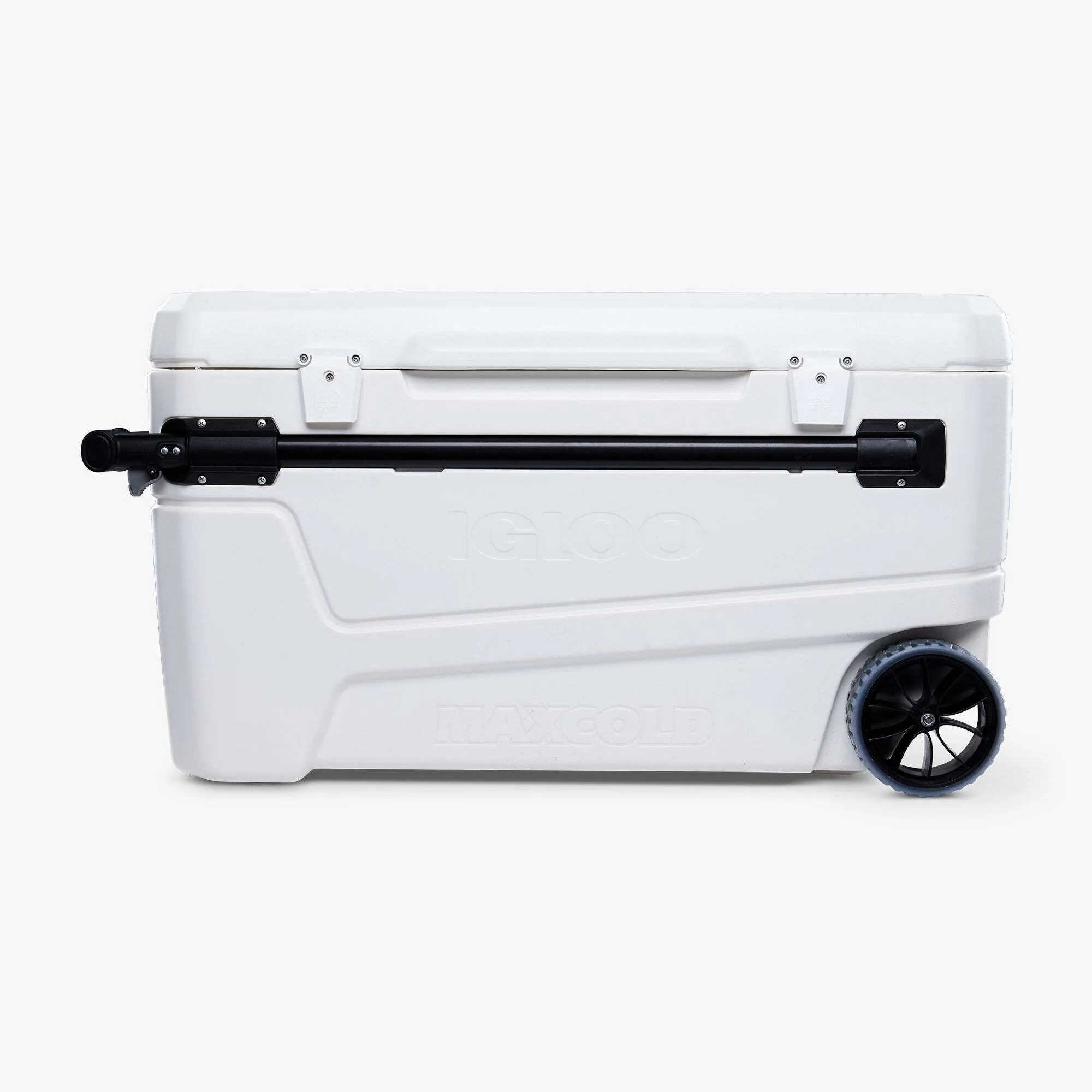 Cooler