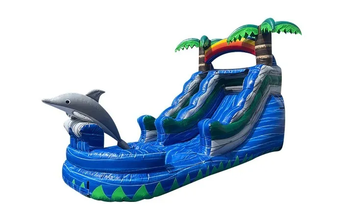 Dolphin Paradise Slide