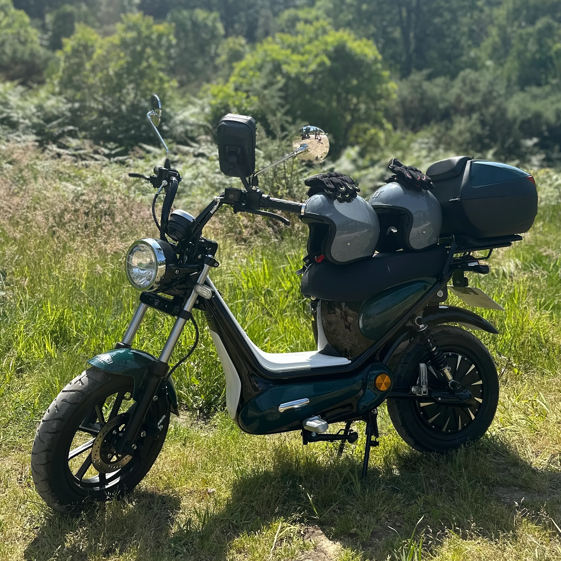 Pack Duo E-Bonsai