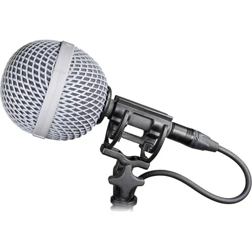 Rycote BBG with Dead Cat (21mm)
