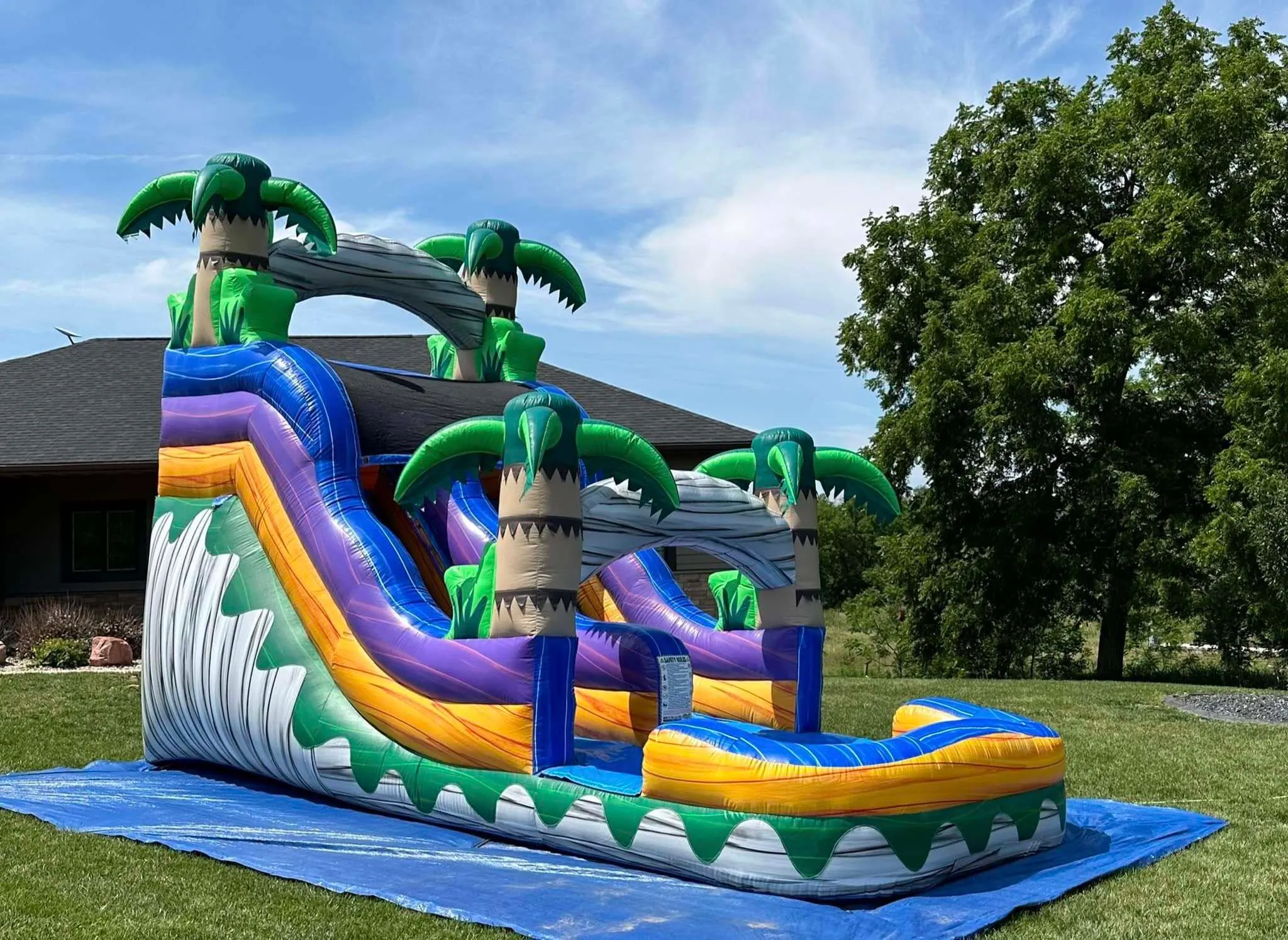 Mamba Splash