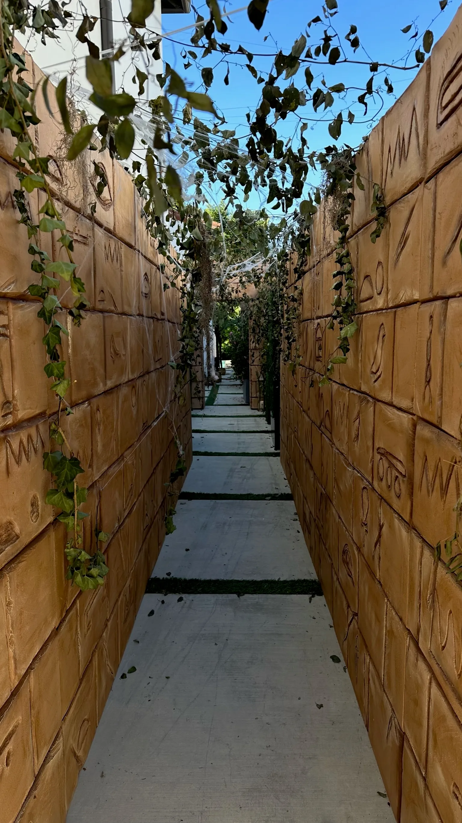 Egyptian Walls