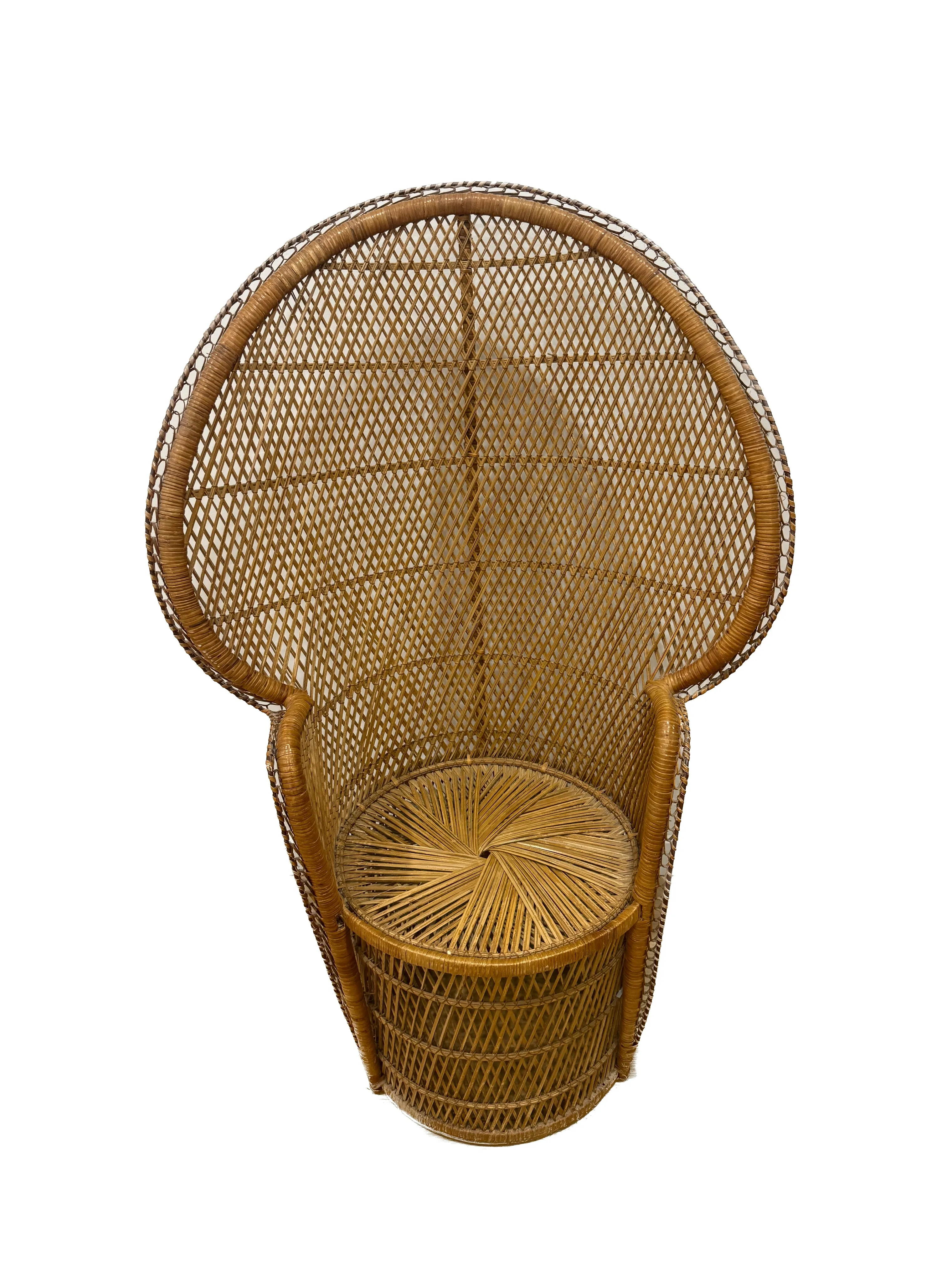 Peacock Chair