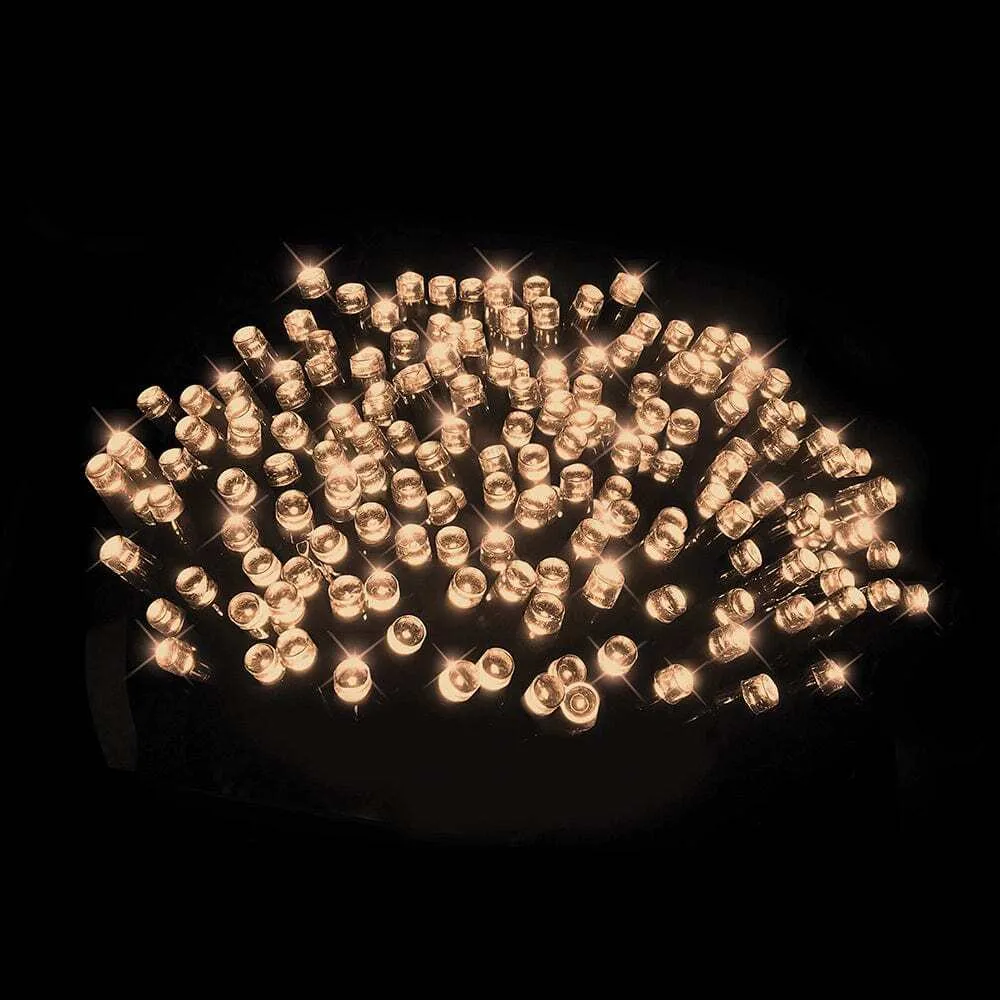 Black String Fairy Lights