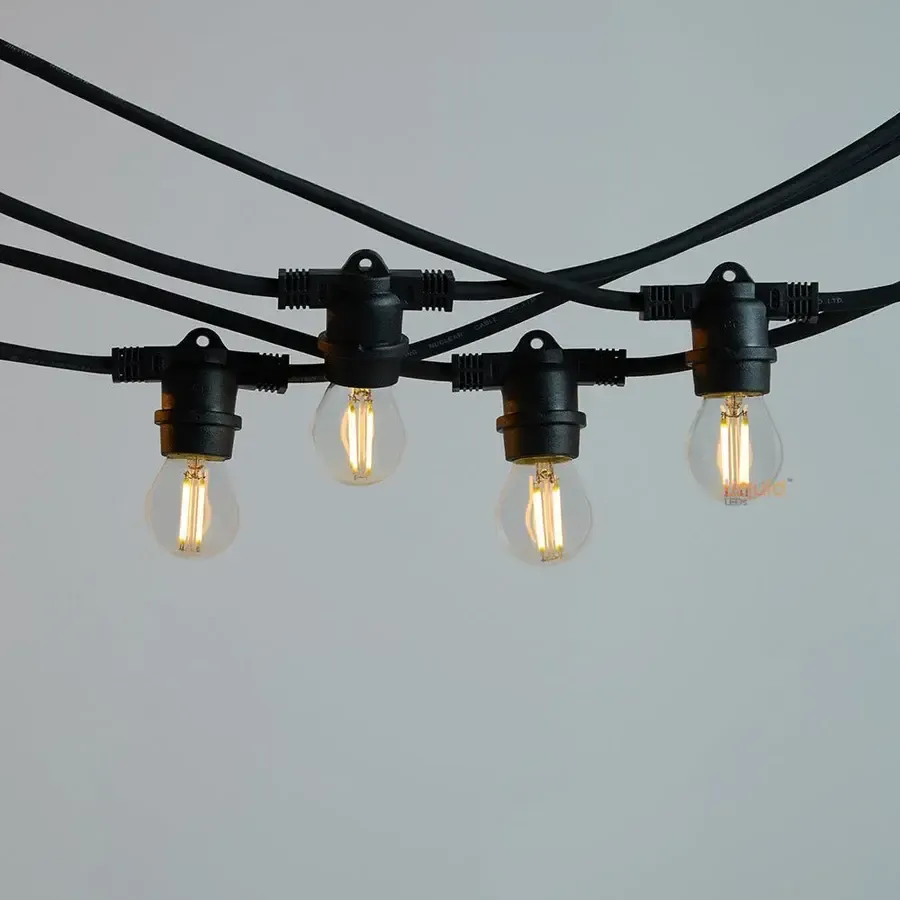 Festoon Light Strand (Black)
