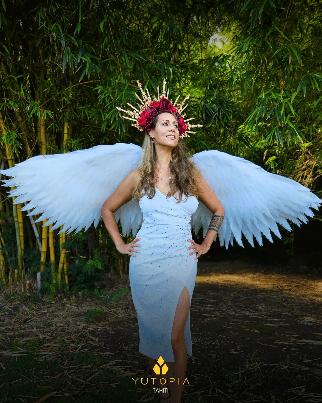 Ailes Merahi 