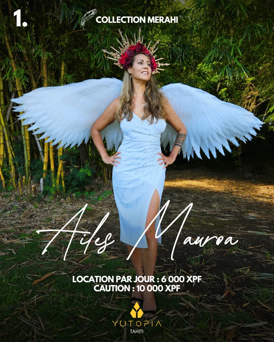 Ailes N°1 : Mauroa 