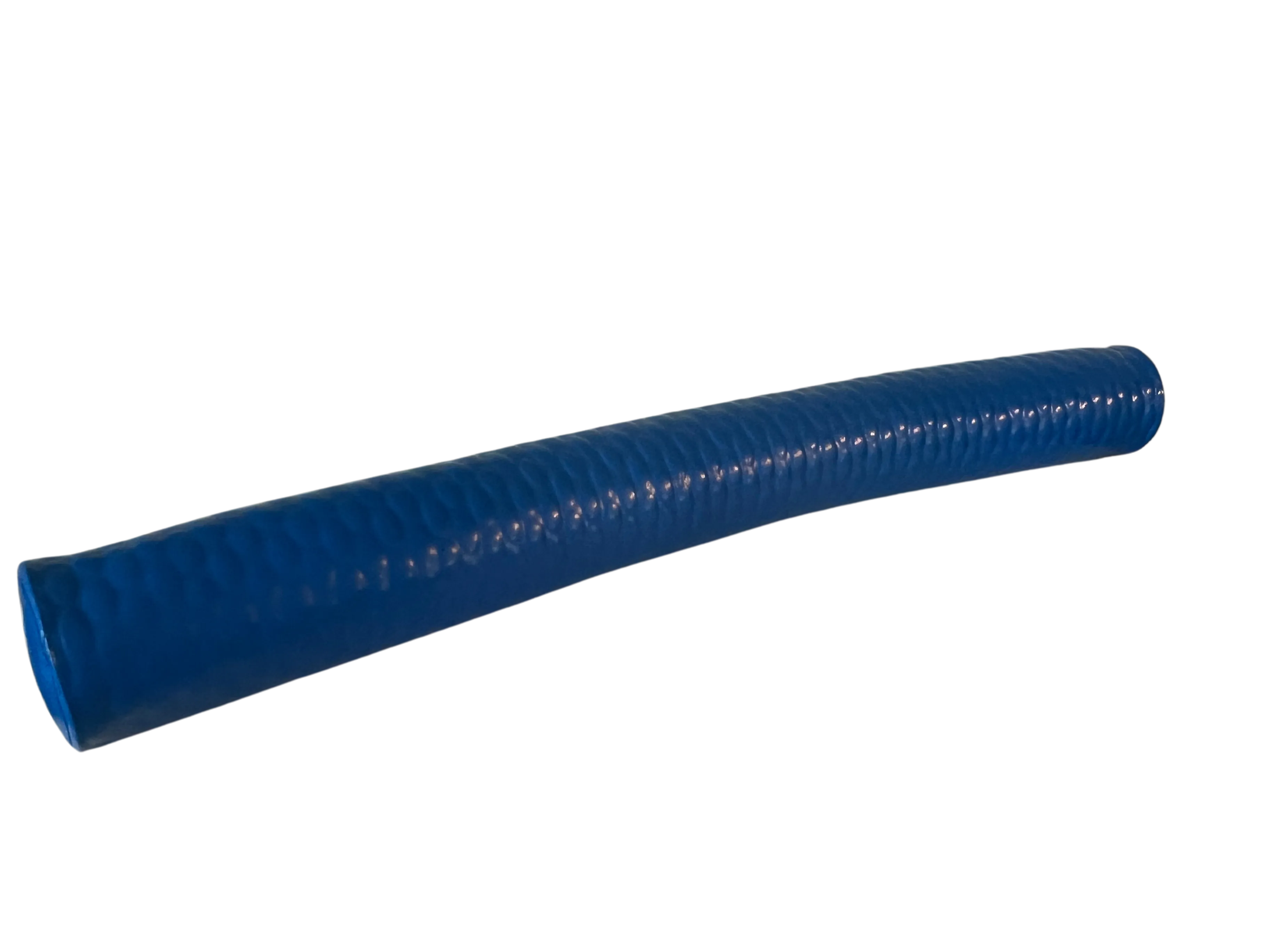 Large Foam Noodle
