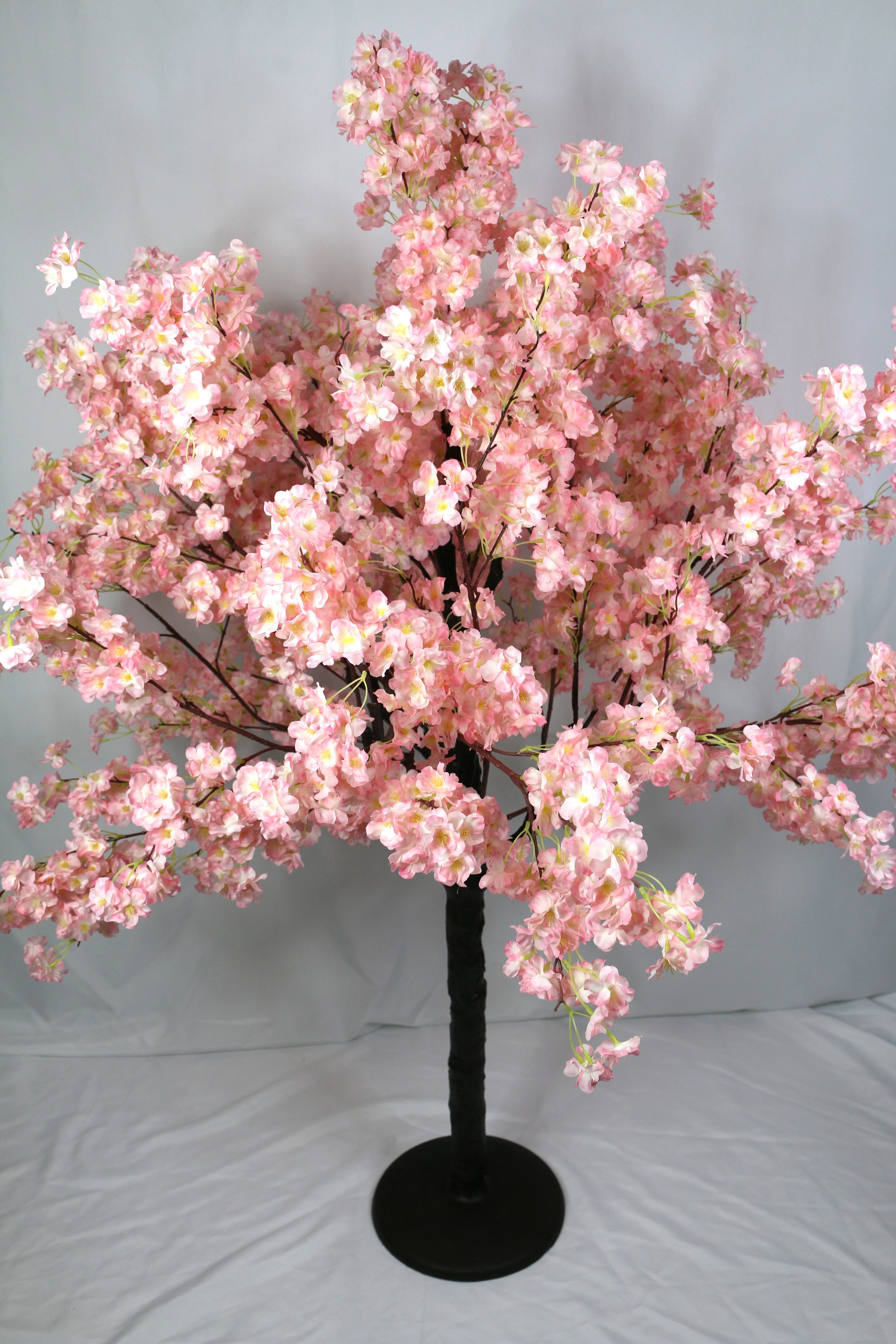 Pink Cherry Blossom Tree Hub City Rentals