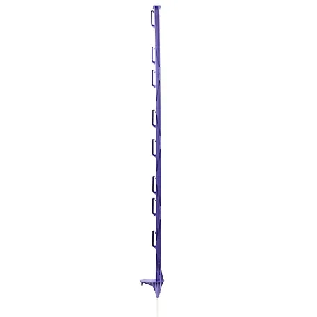 Step in posts Purple