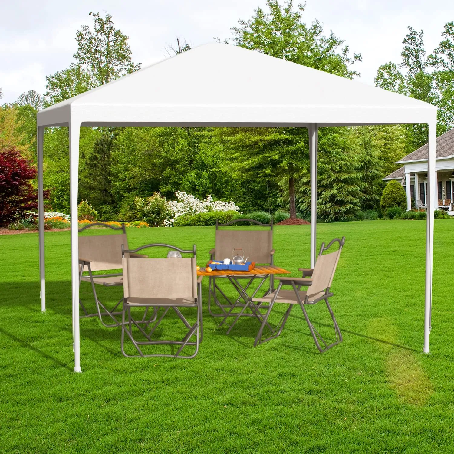 Canopy 10x10
