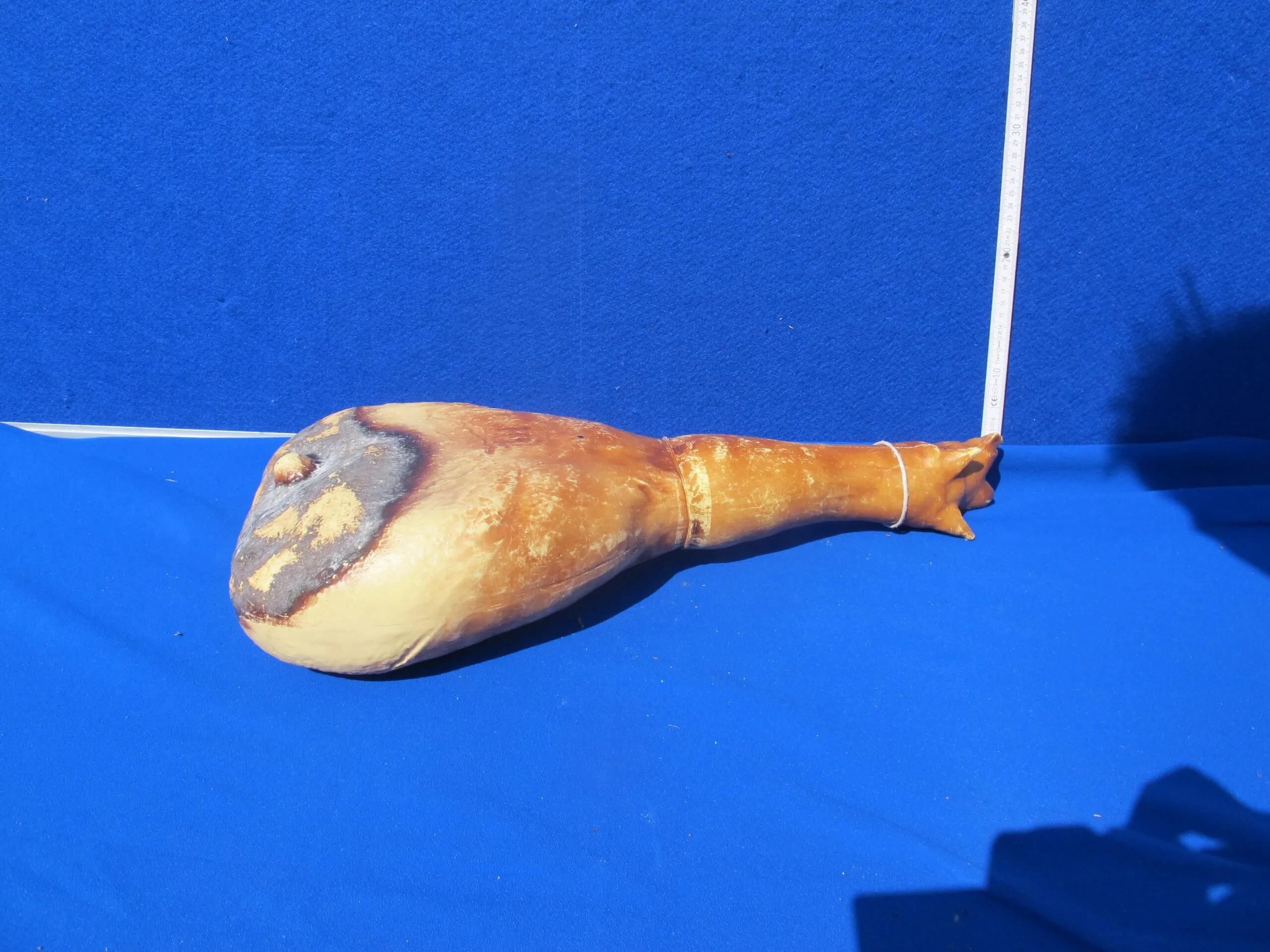Fleisch Haxen 