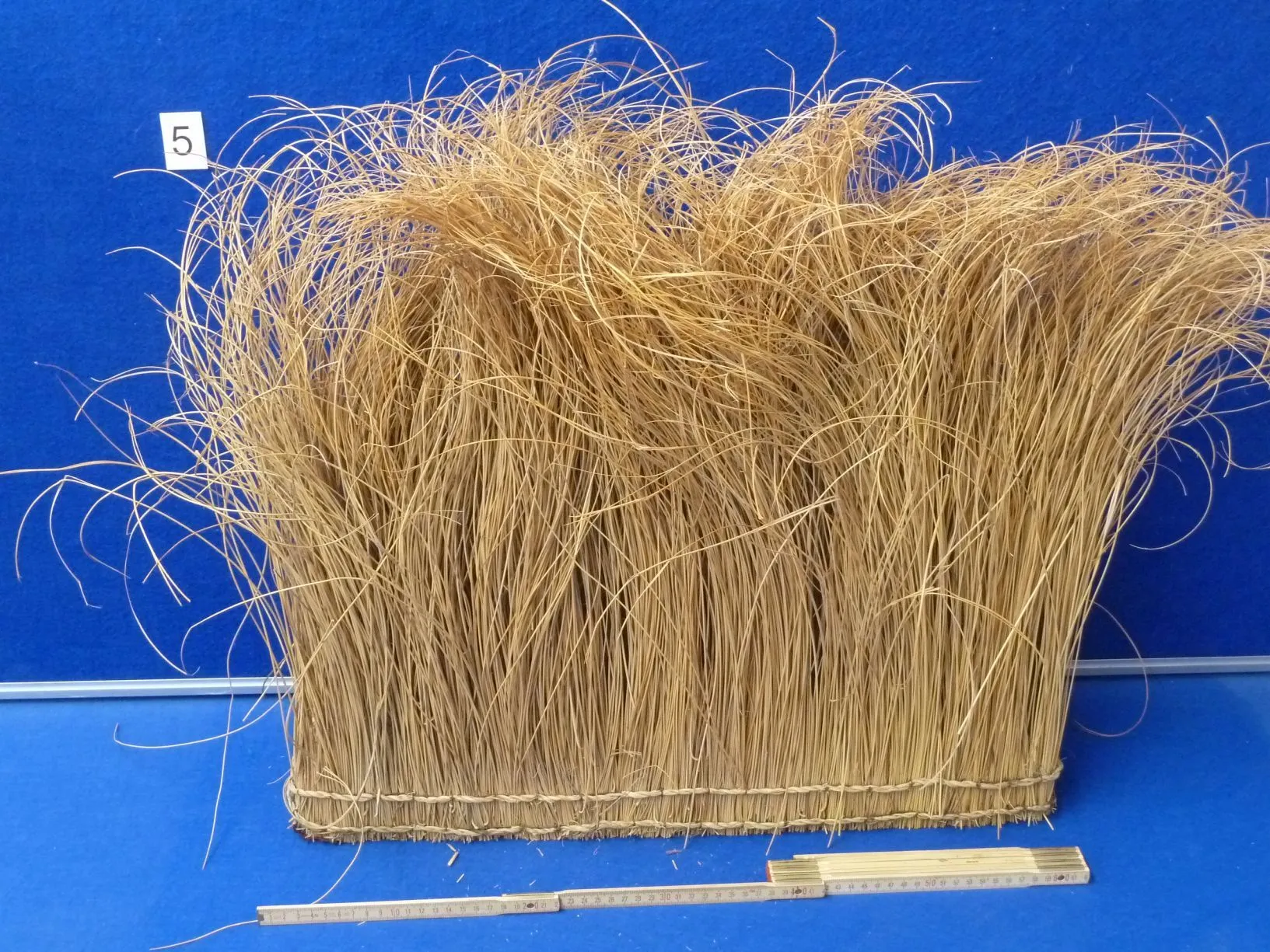 Gras dürr