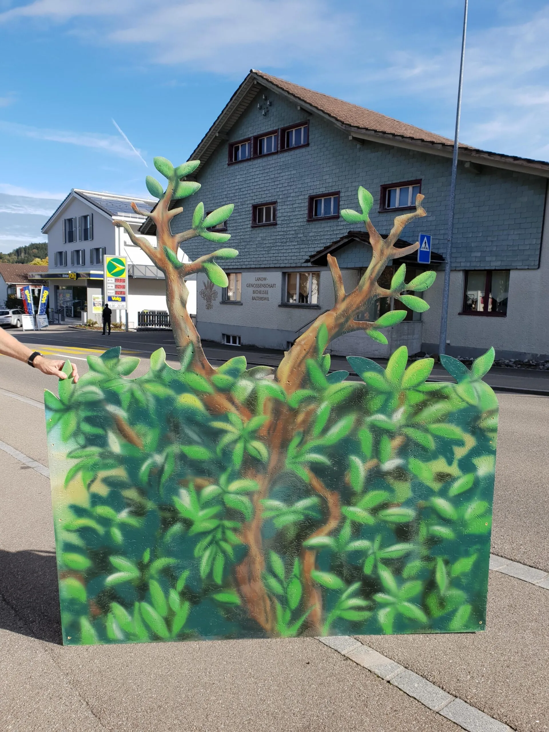 Busch flach Holz