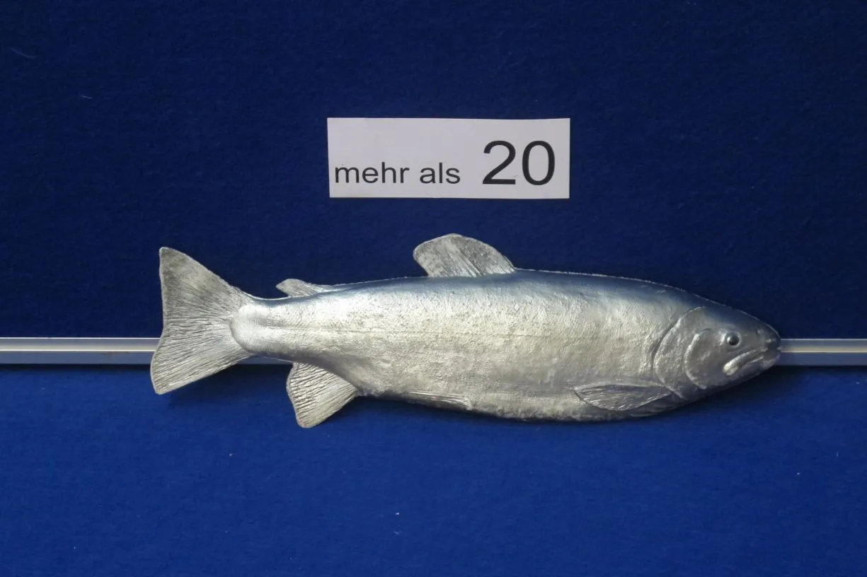 Fische Plastik 
