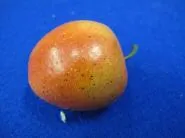 Frucht Apfel